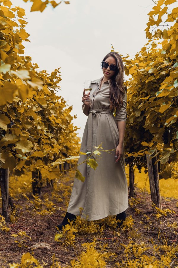 Elegant looking maxi Charlotte dres